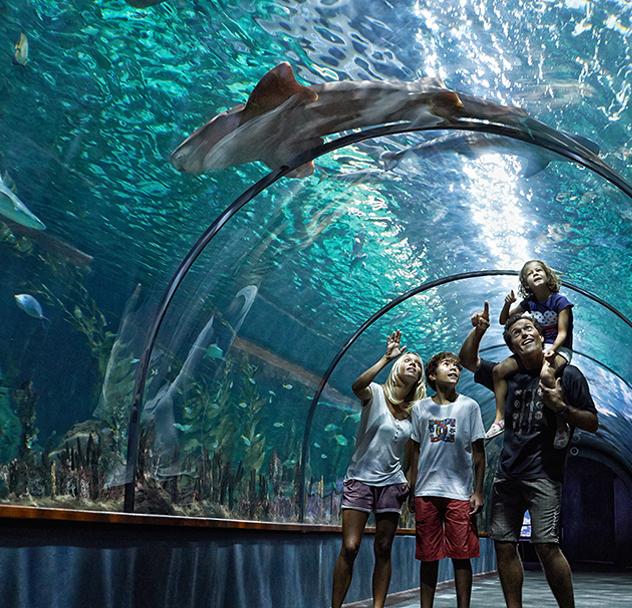 Tenerife Loro parque